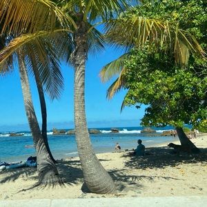 Meet your Posher, Yareimi